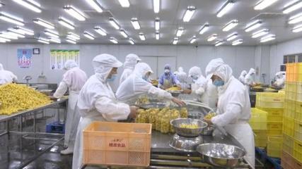 黃山桃源罐頭食品產銷兩旺 產業發展勢頭強勁